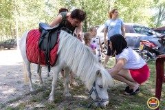 12 Фото: Елла Макра