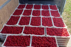 10 Фото: Милош Мишков