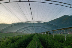 9 Фото: Милош Мишков