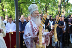 9.-Foto-Nenad-Zivkovic