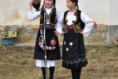 9 Прокупље, фото: Срђан Дробњаковић